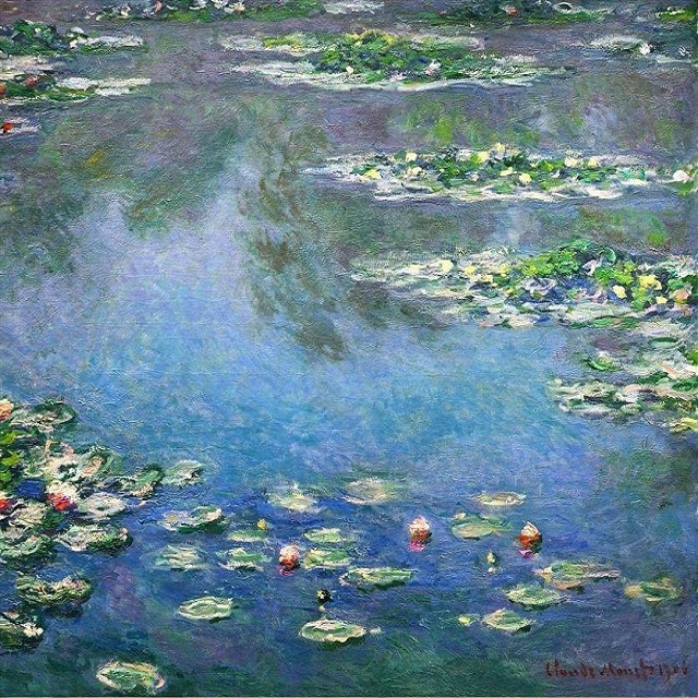 water-lilies-14